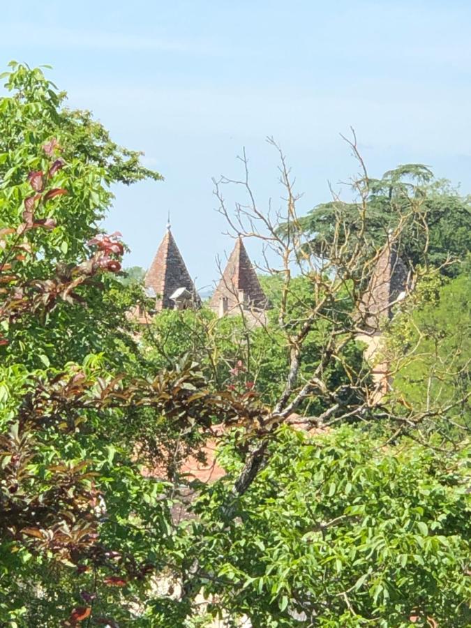 B&B Du Couvent, Vue Chateau Giroussens Экстерьер фото